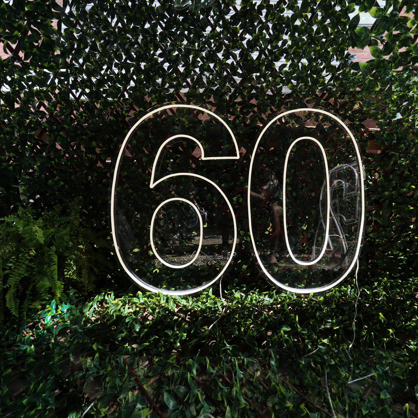 XL Number 60 Neon Sign Rental - Jayde's Bouncy Castle Rentals